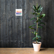 Load image into Gallery viewer, Poster 4