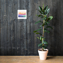 Load image into Gallery viewer, Poster 4