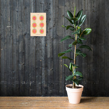 Load image into Gallery viewer, Poster 3