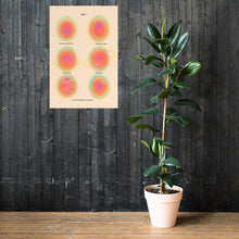 Load image into Gallery viewer, Poster 3