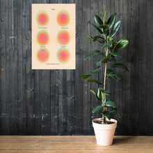 Load image into Gallery viewer, Poster 3